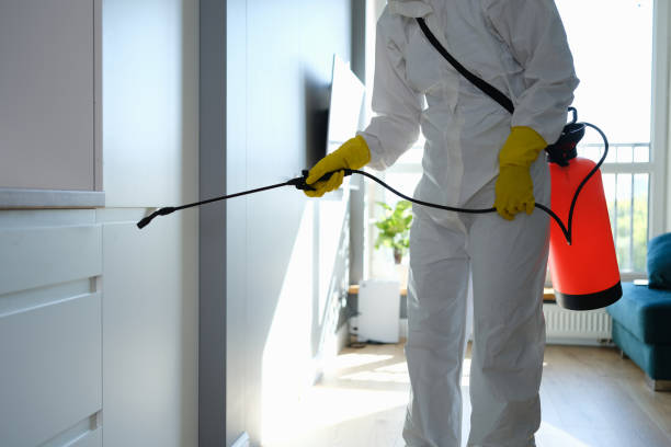 Best Crawl Space Mold Remediation in Aromas, CA